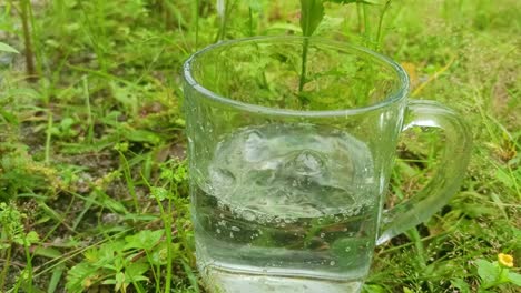 Gießen-Sie-Wasser-In-Eine-Glastasse