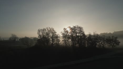 establishment-drone-crane-shot-of-a-foggy-scenery-in-rural-area-with-some-trees