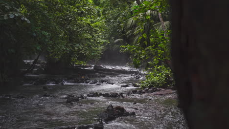 Costa-Rica-Junte-Regenwald-Fluss-Natürliche-Schönheit-Filmischer-Look-4k