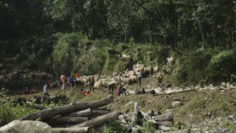 La-Gente-Del-Pueblo-Con-Un-Rebaño-De-Cabras-En-La-Campiña-Nepalesa-En-Pokhara,-Nepal.