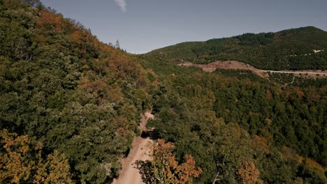 push-in-drone-shot-over-a-track-in-the-mountain,-deciduous-forest-in-autumn