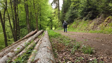 Männlicher-Wanderer-Auf-Einem-Waldweg-Beim-Wandern-Auf-Dem-Beliebten-Fernwanderweg-Westweg-Durch-Den-Schwarzwald-In-Süddeutschland