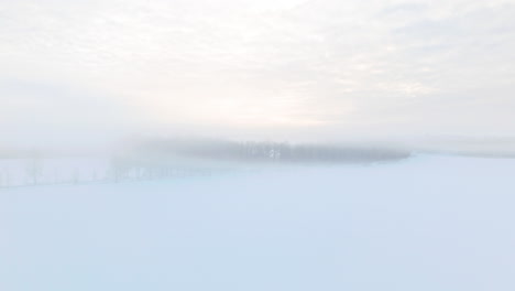 Moving-through-fog-and-ascending-to-reveal-a-vast-nordic-scandinavian-landscape-with-forest-covered-in-snow-and-ice-and-fog-engulfing-the-beatiful-scenery