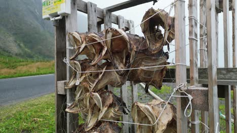 Dead-Cod-Fish-Heads-drying-on-Racks-as-Souvenir-in-Lofoten-Islands,-Norway