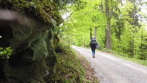 Excursionista-Masculino-En-Un-Camino-De-Grava-Caminando-Por-El-Popular-Sendero-De-Larga-Distancia-Westweg-A-Través-De-La-Selva-Negra-En-El-Sur-De-Alemania