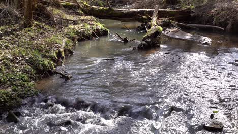 Idyllic-creek-named-Schaich-in-the-Schönbuch-nature-reserve-near-Stuttgart-in-southern-Germany
