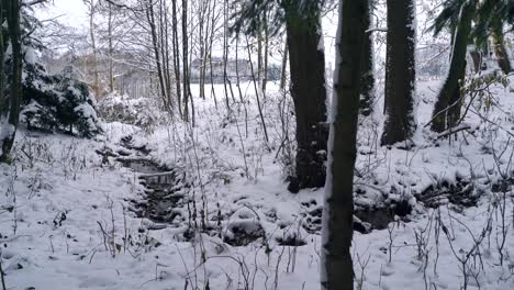 Blick-Auf-Einen-Kleinen-Bach-Im-Verschneiten-Winterwald-Mit-Vielen-Ästen