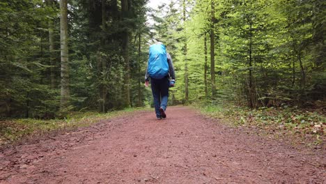 Hombre-Caminando-Por-El-Popular-Sendero-De-Larga-Distancia-Westweg-A-Través-De-La-Selva-Negra-En-El-Sur-De-Alemania