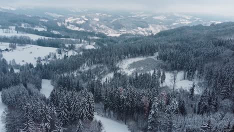 Aerial-view-of-snowy-Jizera-mountains-in-Bohemia-with-snow-covered-woods-and-valleys