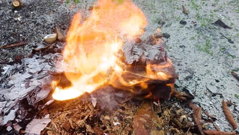 slow-motion-close-up-fire-burning-paper