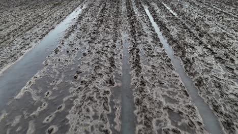 Ploved-field.-Cultivation.-flooded-fields.-Europe