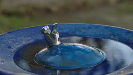 Close-up-of-a-public-water-tap