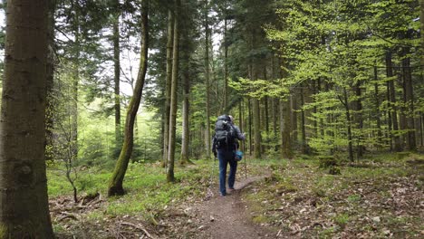 Male-hiker-with-a-big-backpack-on-a-narrow-forest-path-while-hiking-the-popular-long-distance-trail-Westweg-through-the-Black-Forest-in-southern-Germany