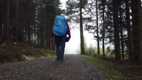 Male-hiker-on-a-gravel-road-leaving-the-forest-while-hiking-the-popular-long-distance-trail-Westweg-through-the-Black-Forest-in-southern-Germany-on-a-rainy-day