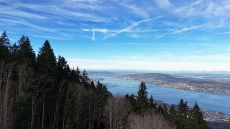 Flying-above-conifer-forest-treetops-and-reveal-of-city-near-lake-Zurich