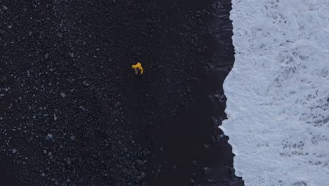 Adult-man-walking-on-black-sand-beach-in-Azores-Portugal---drone-shot