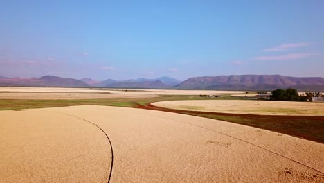 Drone-flys-over-a-wheat-field-with-mountains-in-the-distance