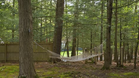 Reveal-of-vacant-string-hammock-suspended-from-woodland-trees-in-enclosed-fenced-mossy-garden