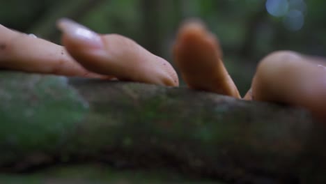 Close-up-shot-of-girl-hands-touching-tree-in-the-woods