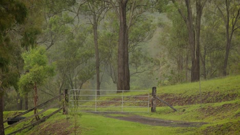 Puerta-De-La-Granja-En-El-Monte-Australiano-Bajo-Una-Suave-Lluvia.