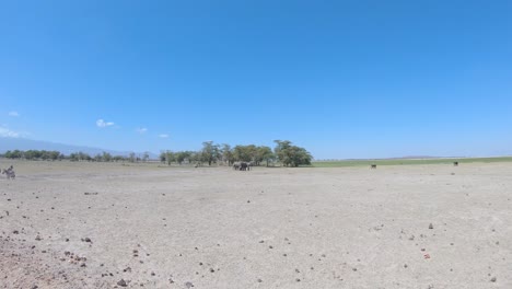 Majestuosa-Familia-De-Elefantes-De-Sabana-Africana-En-Hábitat-Natural,-Parque-Nacional-Amboseli