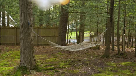 Empty-string-hammock-suspended-from-woodland-trees-in-fenced-campground