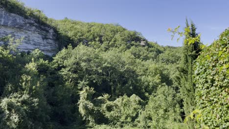 Dense-green-forest-in-France-in-good-weather-with-a-rocky-gray-wall-in-dense-nature