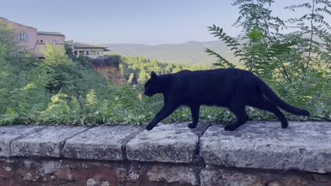Schwarze-Katze-Rennt-über-Eine-Mauer-Mit-Filmischer-Landschaft-Im-Hintergrund-Mit-Wäldern-Und-Natur-Im-Hintergrund