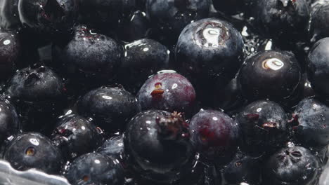 washing-blueberries-in-slow-motion