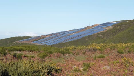 Photovoltaic-farm-on-top-of-a-mountain-in-Paul-da-Serra-Madeira-island