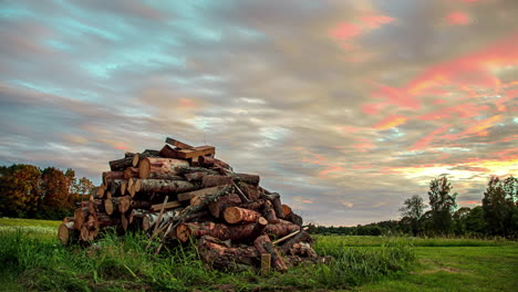 Moving-clouds-timelapse,-moody-sky,-yellow-sunset,-big-pile-of-tree-trunks-in-grassland,-time-lapse-establishment-shot,-rural-area,-countryside-farmland