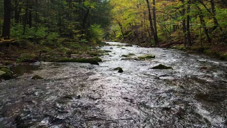 Stunning-autumnal-forest-stream,-slow-motion-drone-footage-backing-down-the-stream