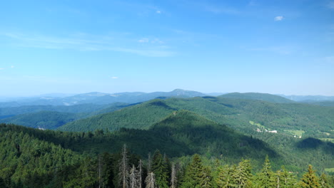 Aerial-pan-right-shot-of-Black-Forest-on-sunny-day