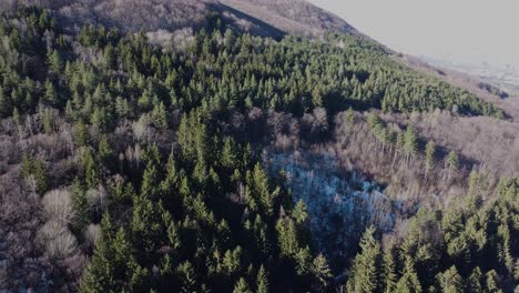 Cinematic-4K-drone-clip-over-the-forests-of-Vitosha-massif,-close-to-Sofia,-Bulgaria