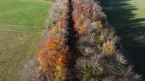 Drone-view-of-woodland-road-in-countryside