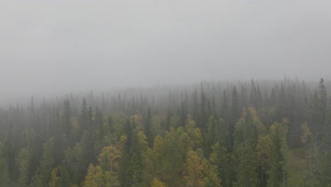 Drone-aerial-footage-of-a-misty-forest-during-fall