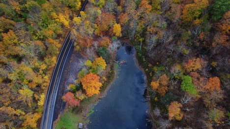 Top-down-drone-footage-of-a-freshly-paved-mountain-road-winding-through-a-beautiful-colorful-autumnal-forest