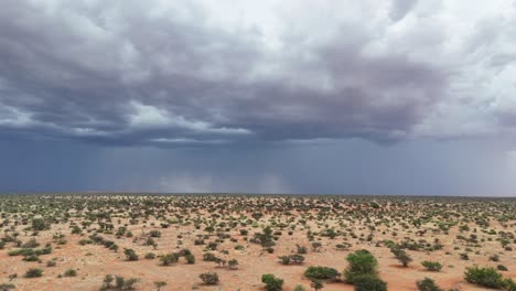 Aerial-footage-of-the-arid-southern-Kalahari-bushveld,-dark-clouds-in-the-distance