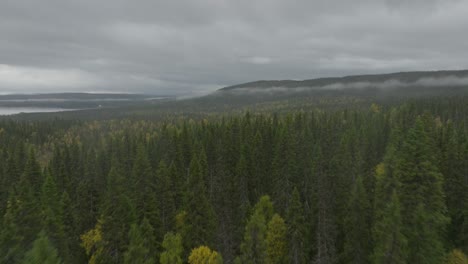 Drohnen-Luftaufnahmen-Von-Wald,-Nebel-Und-Einem-See