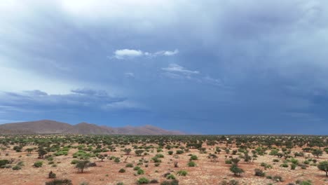 Wunderschöne-Luftbilder-Der-Südlichen-Kalahari-Landschaft,-Die-Berge-In-Der-Ferne