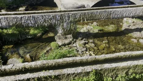 Various-very-old-water-pipes-covered-with-moss-and-algae