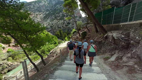 Touristen,-Die-An-Einem-Sommertag-über-Treppen-Im-Observatorio-Ornitologico-El-Cabrito-Hinuntergehen