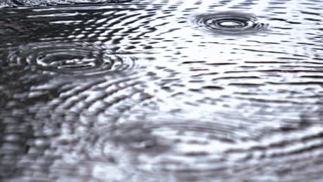 Ripples-on-the-surface-of-puddle,-each-concentric-wave-expands-gracefully