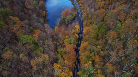 Top-down-drone-footage-of-a-freshly-paved-mountain-road-winding-through-a-beautiful-colorful-autumnal-forest