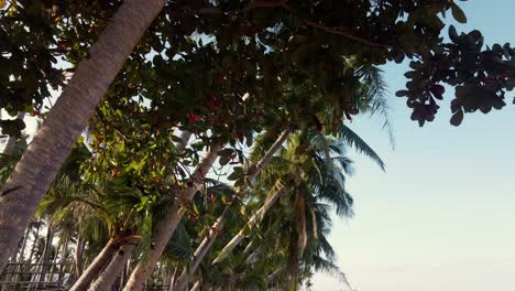 Kokospalmen-Lehnen-Sich-Bei-Sonnenuntergang-An-Den-Tropischen,-Leeren-Sandstrand