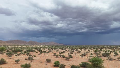 Toma-Aérea-Panorámica-Sobre-La-Sabana-Del-Kalahari,-Nubes-De-Tormenta-Formándose-En-La-Distancia