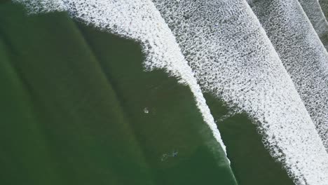 Top-down-shot-of-surfers-waiting-to-catch-waves-at-Lahinch-beach,-Ireland