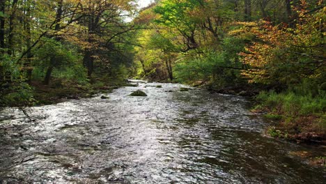 Beautiful-slow-motion-low-drone-footage-of-stunning,-mossy-autumnal-woodland-stream-deep-in-the-mountains