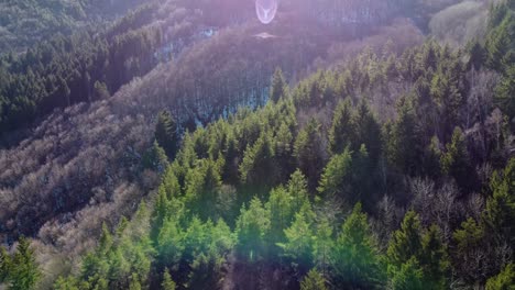 Cinematic-low-flying-4K-drone-clip-over-the-coniferous-forest-of-Vitosha-National-Park,-close-to-Sofia,-Bulgaria