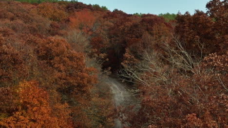 Beautiful-red-trees-of-autumn-in-Lee-Creek,-Arkansas---Aerial